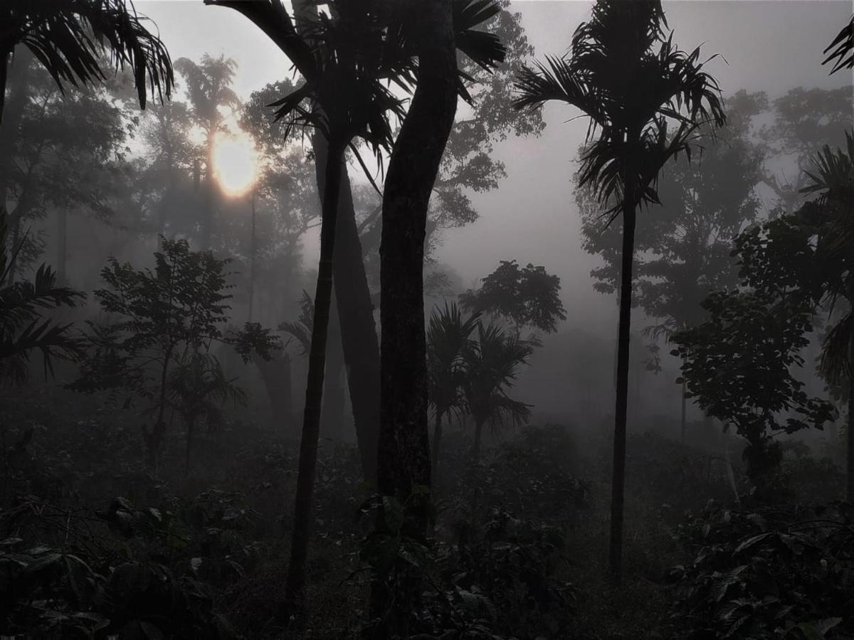 Wanders In- Plantation Stays Coorg Мадикери Экстерьер фото